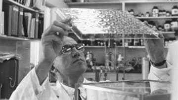 Jonas Salk works in his laboratory in 1957.