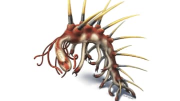 Danielle Dufault via Smith et. al, Nature (2015)