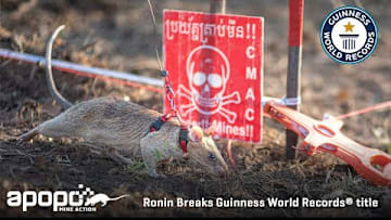 HeroRAT Ronin Breaks Guinness World Records® title