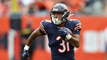 Chicago Bears - Credit: Mike Dinovo-USA TODAY Sports
