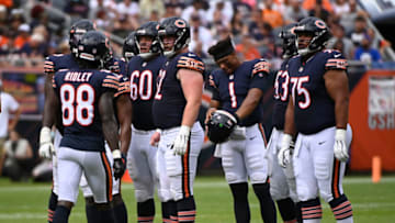 Chicago Bears (Matt Marton-USA TODAY Sports)