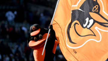 The Baltimore Orioles mascot celebrates. (Photo by G Fiume/Getty Images)