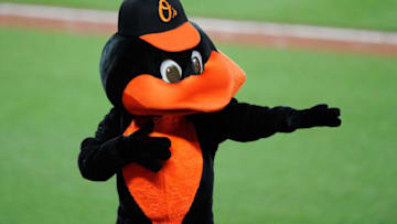 BALTIMORE, MD - JUNE 16: The Baltimore Orioles mascot performs during the seventh inning of the game against the St. Louis Cardinals at Oriole Park at Camden Yards on June 16, 2017 in Baltimore, Maryland. (Photo by Greg Fiume/Getty Images)