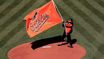BALTIMORE, MD - MARCH 31: The Oriole Bird mascot waves a flag on the mound during Opening Day ceremonies before the start of the Baltimore Orioles and Boston Red Sox at Oriole Park at Camden Yards on March 31, 2014 in Baltimore, Maryland. (Photo by Rob Carr/Getty Images)