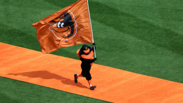 BALTIMORE, MARYLAND - APRIL 11: The Oriole Bird mascot of the Baltimore Orioles is introduced before the Orioles and Milwaukee Brewers game during Opening Day at Oriole Park at Camden Yards on April 11, 2022 in Baltimore, Maryland. (Photo by Rob Carr/Getty Images)