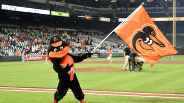 BALTIMORE, MARYLAND - SEPTEMBER 09: The Baltimore Orioles mascot celebrates after a victory against the Boston Red Sox at Oriole Park at Camden Yards on September 09, 2022 in Baltimore, Maryland. (Photo by G Fiume/Getty Images)