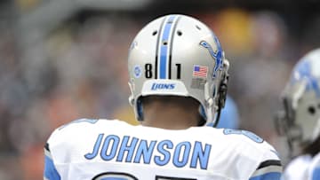 CHICAGO, IL- JANUARY 03: Calvin Johnson