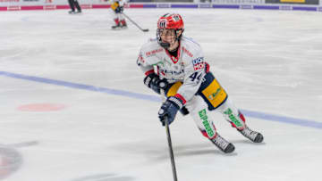 Chicago Blackhawks, Lukas Reichel (Photo by TF-Images/Getty Images)