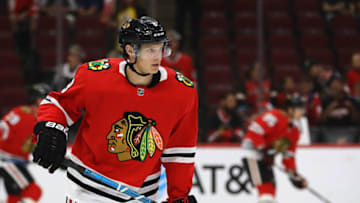 Dominik Kubalik #8, Chicago Blackhawks (Photo by Jonathan Daniel/Getty Images)