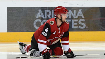 GLENDALE, AZ - NOVEMBER 25: Niklas Hjalmarsson