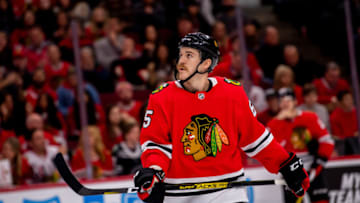 Chicago Blackhawks, Andrew Shaw #65 (Photo by Patrick Gorski/Icon Sportswire via Getty Images)