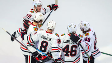 Chicago Blackhawks Mandatory Credit: Sergei Belski-USA TODAY Sports