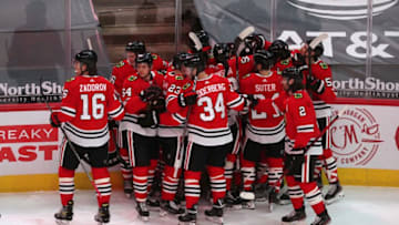 Chicago Blackhawks Mandatory Credit: Dennis Wierzbicki-USA TODAY Sports