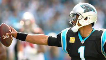 (Jeremy Brevard-USA TODAY Sports) Cam Newton
