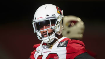 (Mark J. Rebilas-USA TODAY Sports) Haason Reddick