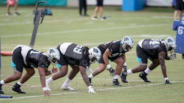 (Jim Dedmon-USA TODAY Sports) Carolina Panthers defensive line