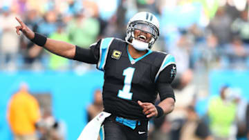 (Jeremy Brevard-USA TODAY Sports) Cam Newton