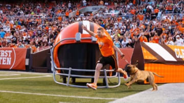 Aug 23, 2014; Cleveland, OH, USA; Cleveland Browns mascot Swagger enters the field before the game against the St. Louis Rams at FirstEnergy Stadium. Mandatory Credit: Rick Osentoski-USA TODAY Sports