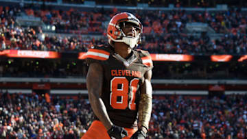 CLEVELAND, OH - NOVEMBER 11: Rashard Higgins #81 of the Cleveland Browns celebrates a play in the third quarter against the Atlanta Falcons at FirstEnergy Stadium on November 11, 2018 in Cleveland, Ohio. (Photo by Jason Miller/Getty Images)