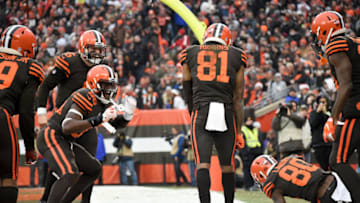 CLEVELAND, OH - DECEMBER 23: Rashard Higgins #81 of the Cleveland Browns celebrates his touchdown with teammates during the third quarter against the Cincinnati Bengals at FirstEnergy Stadium on December 23, 2018 in Cleveland, Ohio. (Photo by Jason Miller/Getty Images)