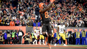 CLEVELAND, OHIO - NOVEMBER 14: Wide receiver Jarvis Landry #80 of the Cleveland Browns catches a pass for a touchdown in the second quarter of the game against the Pittsburgh Steelers at FirstEnergy Stadium on November 14, 2019 in Cleveland, Ohio. (Photo by Jason Miller/Getty Images)