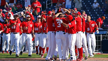 WEST PALM BEACH, FL - FEBRUARY 28: Michael Taylor #3 of the Washington Nationals is congratulated by teammates after hitting a home run to win the game against the Houston Astros in the ninth inning during a spring training game at The Ballpark of the Palm Beaches on February 28, 2017 in West Palm Beach, Florida. The Nationals defeated the Astros 4-3. (Photo by Joel Auerbach/Getty Images)