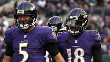 BALTIMORE, MD - DECEMBER 4: Wide receiver Breshad Perriman