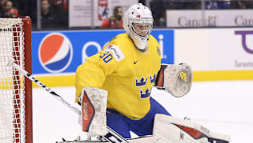 New York Islanders, Linus Soderstrom #30 (Photo by Claus Andersen/Getty Images)
