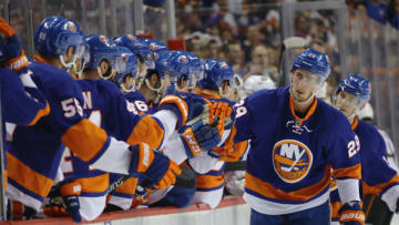 NEW YORK, NY - OCTOBER 16: Brock Nelson #29 of the New York Islanders celebrates his first period goal against the Anaheim Ducks at the Barclays Center on October 16, 2016 in the Brooklyn borough of New York City. (Photo by Bruce Bennett/Getty Images)