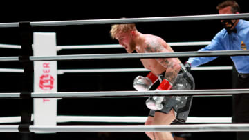 LOS ANGELES, CALIFORNIA - NOVEMBER 28: Jake Paul reacts over his knockout victory against Nate Robinson in the second round during Mike Tyson vs Roy Jones Jr. presented by Triller at Staples Center on November 28, 2020 in Los Angeles, California. (Photo by Joe Scarnici/Getty Images for Triller)