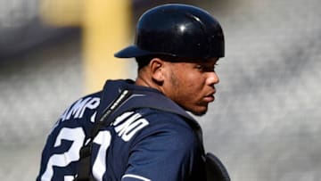 (Photo by Andy Hayt/San Diego Padres/Getty Images)