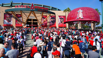 Orlando Martinez, Los Angeles Angels (Photo by Masterpress/Getty Images)