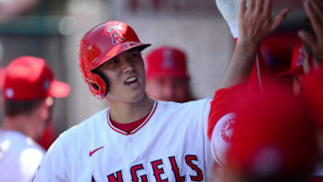Shohei Ohtani, LA Angels. Mandatory Credit: Gary A. Vasquez-USA TODAY Sports