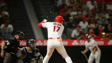 Shohei Ohtani, LA Angels. Mandatory Credit: Gary A. Vasquez-USA TODAY Sports