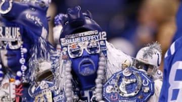 Sep 21, 2015; Indianapolis, IN, USA; Indianapolis Colts fan watches the Colts warm up before the game against the New York Jets at Lucas Oil Stadium. Mandatory Credit: Brian Spurlock-USA TODAY Sports