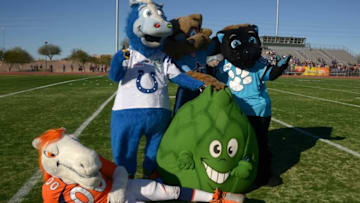 Jan 24, 2015; Scottsdale, AZ, USA; Mascots of the Denver Broncos and Indianapolis Colts and Tennessee Titans and Carolina Panthers and Scottsdale Community College pose at Team Carter practice for the 2015 Pro Bowl at Scottsdale Community College. Mandatory Credit: Kirby Lee-USA TODAY Sports