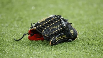 TORONTO, ON - APRIL 09: A Rawlings glove on the turf during batting practice ahead of the MLB game between the Toronto Blue Jays and the Texas Rangers at Rogers Centre on April 9, 2022 in Toronto, Canada. (Photo by Cole Burston/Getty Images)