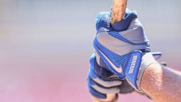 DUNEDIN, FL - MARCH 22: A detailed view of the Nike batting glove worn by a member of the Toronto Blue Jays during the game against the Detroit Tigers at Florida Auto Exchange Stadium on March 22, 2014 in Dunedin, Florida. The Blue Jays defeated the Tigers 9-4. (Photo by Leon Halip/Getty Images)