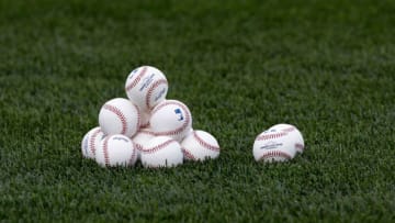 BALTIMORE, MD - APRIL 23: Baseballs sit in the grass before the start of the New York Yankees and Baltimore Orioles game at Oriole Park at Camden Yards on April 23, 2011 in Baltimore, Maryland. (Photo by Rob Carr/Getty Images)