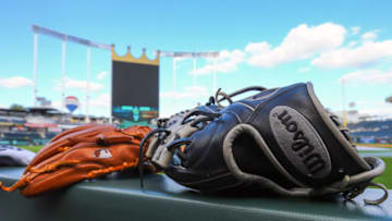 (Photo by Jay Biggerstaff-USA TODAY Sports)