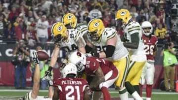 January 16, 2016; Glendale, AZ, USA; Green Bay Packers wide receiver Jeff Janis (83) is congratulated after scoring a touchdown against Arizona Cardinals during the second half in a NFC Divisional round playoff game at University of Phoenix Stadium. Mandatory Credit: Kyle Terada-USA TODAY Sports