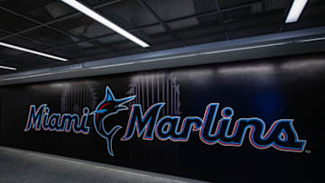 MIAMI, FL - MARCH 28: (Photo by Mark Brown/Getty Images)