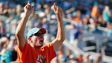 JACKSONVILLE, FL - OCTOBER 26: A Miami Dolphins fan cheers in the stands during the fourth quarter of the game against the Jacksonville Jaguars at EverBank Field on October 26, 2014 in Jacksonville, Florida. (Photo by Rob Foldy/Getty Images)