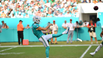 MIAMI, FL - NOVEMBER 04: Matt Haack #2 of the Miami Dolphins punts against the New York Jets at Hard Rock Stadium on November 4, 2018 in Miami, Florida. (Photo by Mark Brown/Getty Images)