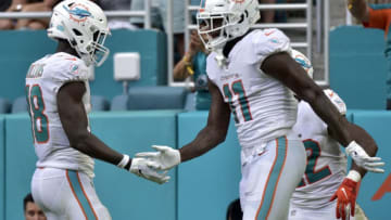 MIAMI, FL - NOVEMBER 03: DeVante Parker #11 of the Miami Dolphins celebrates with Preston Williams #18 after scoring a touchdown in the second quarter against the New York Jets at Hard Rock Stadium on November 3, 2019 in Miami, Florida. (Photo by Eric Espada/Getty Images)