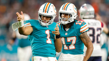 Miami Dolphins(Photo by Michael Reaves/Getty Images)