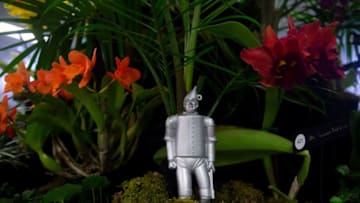 Mandatory Credit: Tcn 0301 Sa Orchids 2