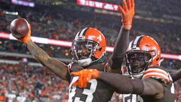 [Phil Masturzo/ Beacon Journal]Browns6