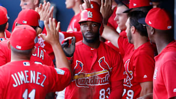 Randy Arozarena (Photo by Joel Auerbach/Getty Images)