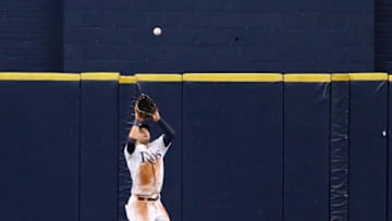 Kevin Kiermaier (Photo by Joseph Garnett Jr. /Getty Images)